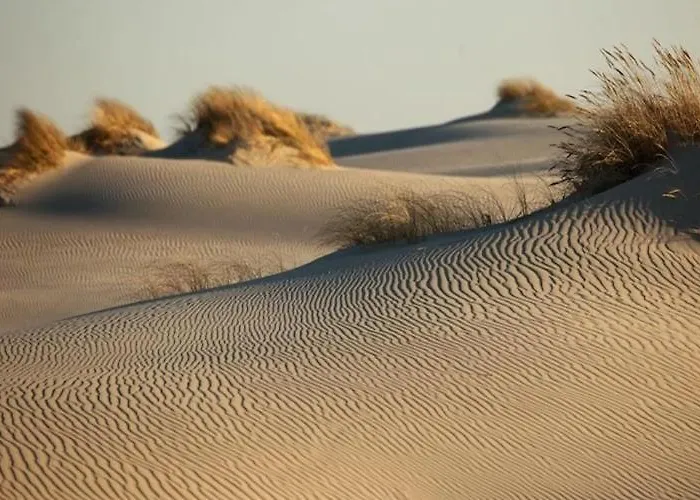 Comfortable With A Private Garden Rowy